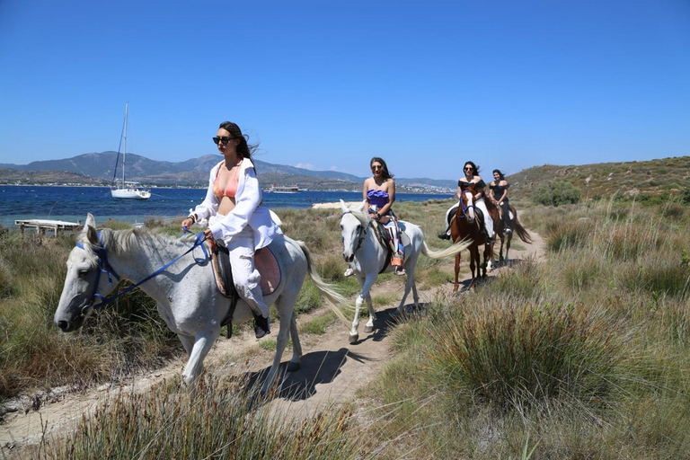Bodrum: Horseback Riding Adventure with Hotel Pickup 2-Hour Forest & Beach Horse Riding with Transfers