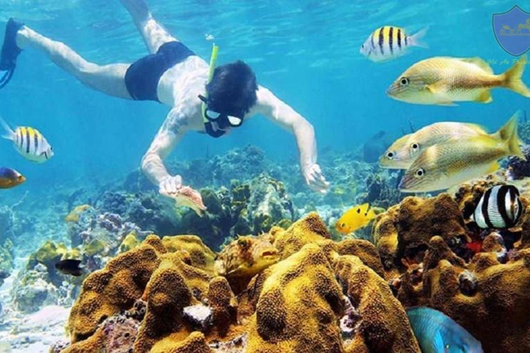 Da Nang/Hoi An: Cham Island Snorkeling or Diving Tour Group Tour