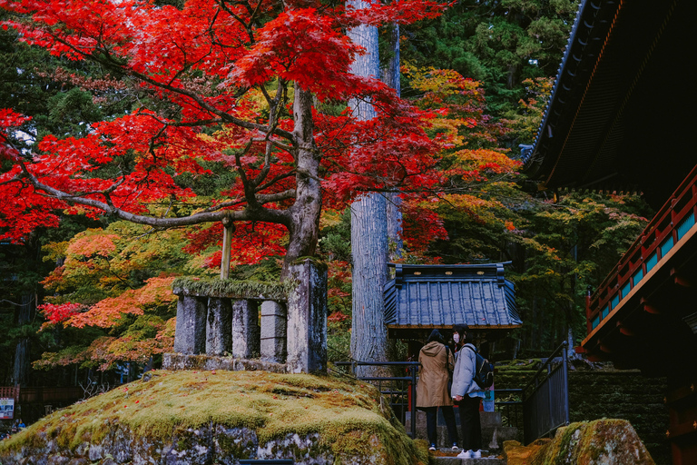 From Tokyo: Nikko Private Full-Day Tour with Driver Nikko Luxury Small group