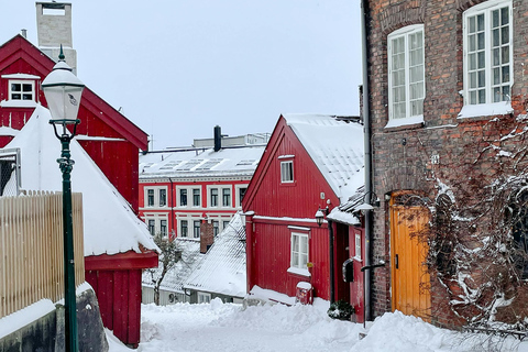 Oslo: Weihnachtstour mit einem Profikoch