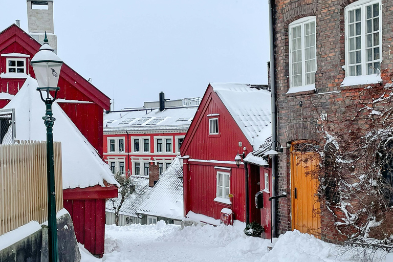 Oslo: Christmas tour with a professional chef