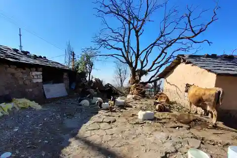 From Naddi: Guided Himalayan Nomad Culture & Nature Walk