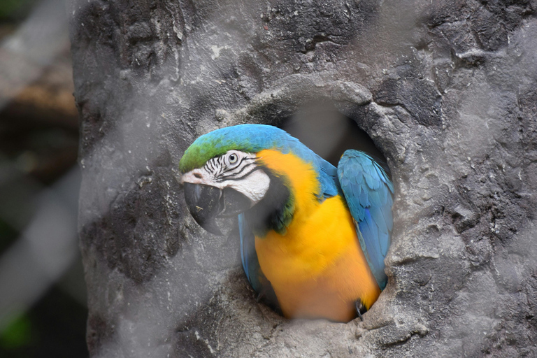 Bangkok Safari &amp; Marine ParkPark safari i morski w Bangkoku