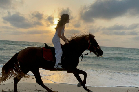 Djerba: Individual Horse Riding in the Blue Lagoon.