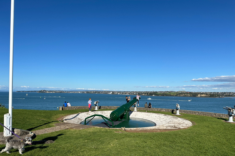 Tour di mezza giornata dei luoghi più interessanti della città di Auckland (tour per piccoli gruppi)