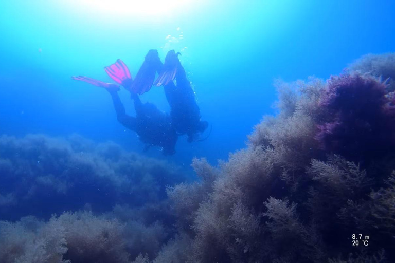 My first scuba dive in the Ocean from Madeira