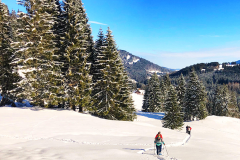 Allgäu: Aventura de senderismo con raquetas de nieve