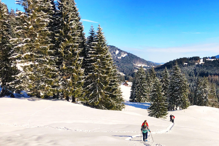 Allgäu: Wandelen met sneeuwschoenen