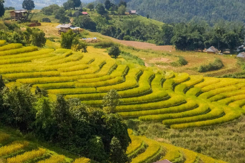 Chiang Mai : Rizières en terrasses de Pa Bong Piang et Doi Inthanon