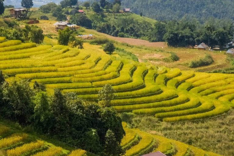 Chiang Mai: terraços de arroz de Pa Bong Piang e Doi Inthanon