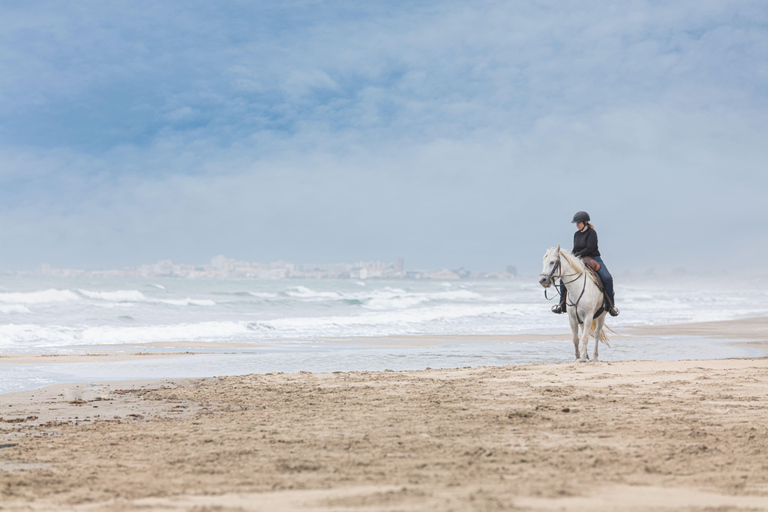 Cape Town: Beach Horse Ride With Shipwreck & Ocean Views
