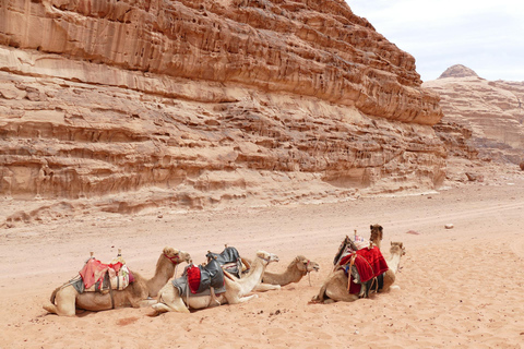 Da Petra: visita del wadi rum ritorno ad Amman o all&#039;aeroporto di Amman