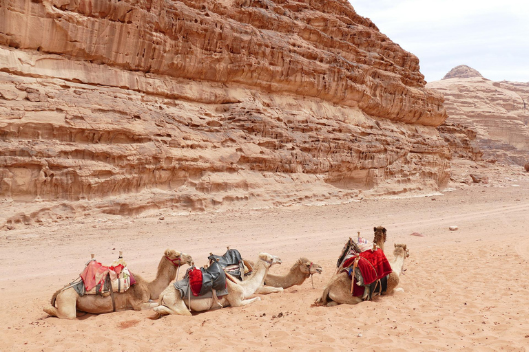 Von Petra: Besuch im Wadi Rum zurück nach Amman oder zum Flughafen Amman