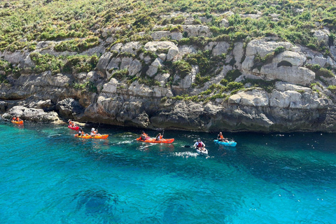 Gozo Kayak Tours