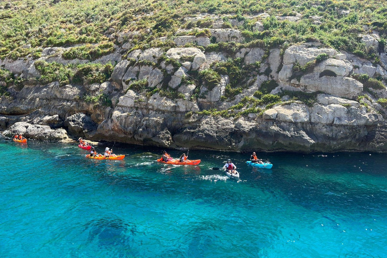 Gozo Kayak Tours