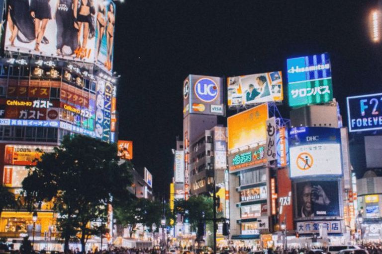 Tour privato di un giorno a Tokyo, personalizzato e indimenticabile 23 Ward