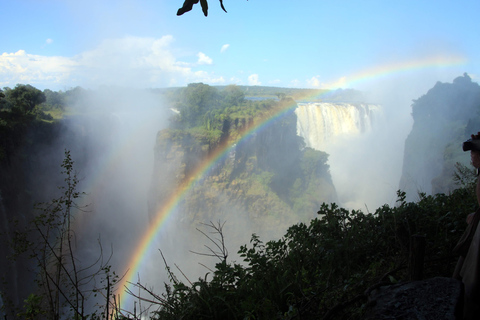 Visita guiada transfronteriza a las cataratas Victoria