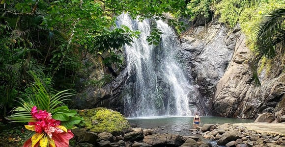 Savusavu: Muanivatu Trails Waterfall Tour, Lunch & Transfer