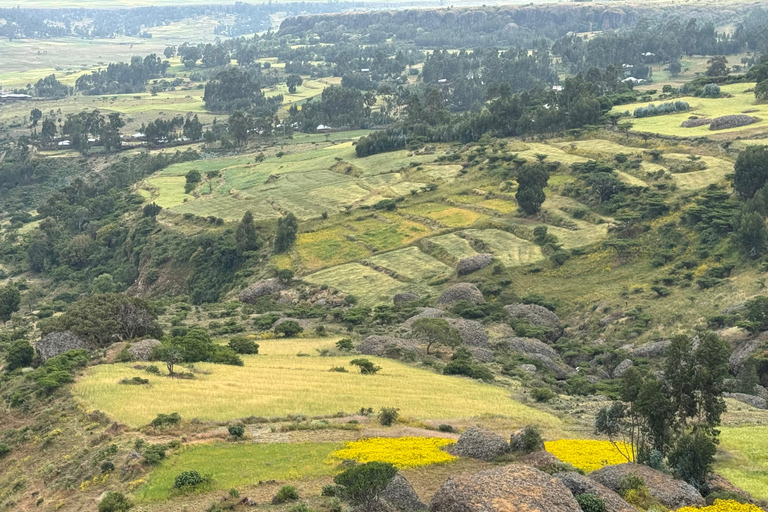 Addis Ababa: Debre Libanos, Gelada Baboons, & Gorge Tour