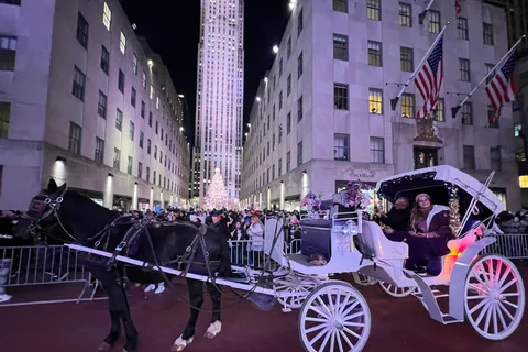 NYC: Privat tur i hestevogn med julelys