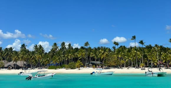 Punta Cana: Catamaran Excursion to Saona Island with Lunch