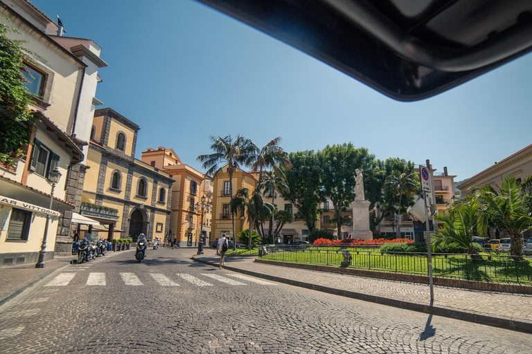 From Naples: Pompeii and Sorrento Guided Tour Tour in English