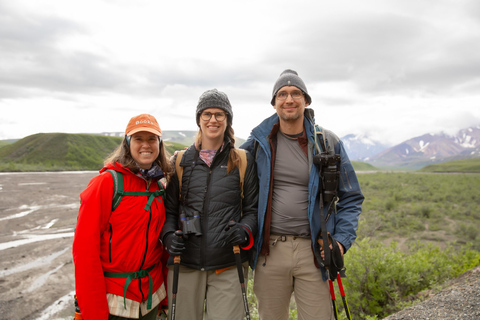 Denali in a Day – Full-Day Sightseeing Package