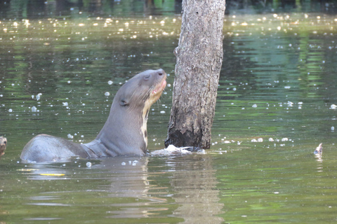 Puerto Maldonado: 3-Day Tambopata Jungle Tour