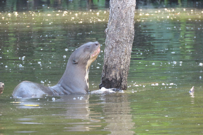 Puerto Maldonado: 3-Day Tambopata Jungle Tour