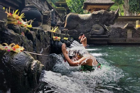 Ubud: Zip-Line, Sacred Temple, and Monkey Forest Tour Private Tour without Entry Ticket