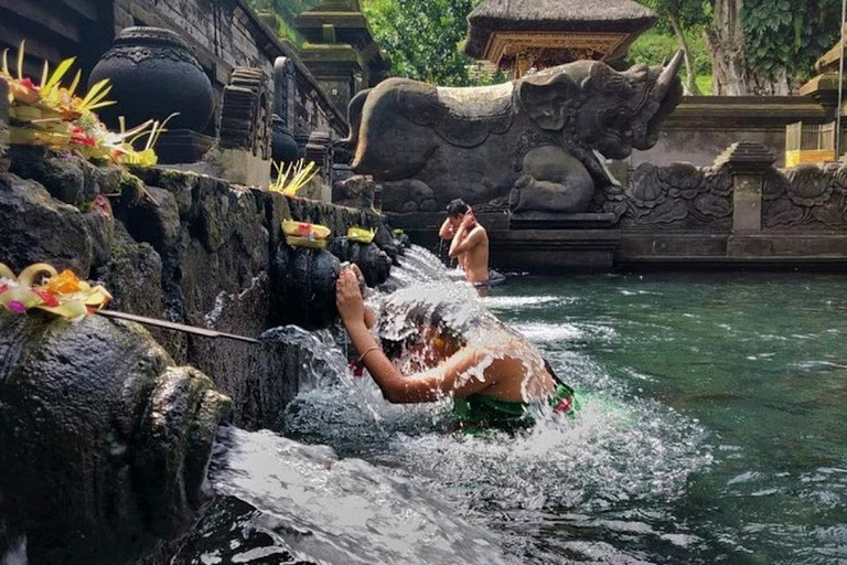 Ubud: Zip-Line, Sacred Temple, and Monkey Forest Tour Private Tour without Entry Ticket