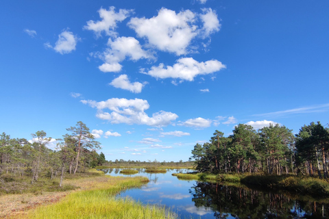 Kõrvemaa Nature Reserve Self-Guided Hike with Transfer