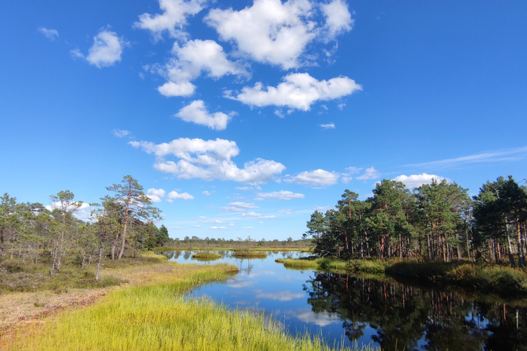Kõrvemaa Nature Reserve Self-Guided Hike with Transfer