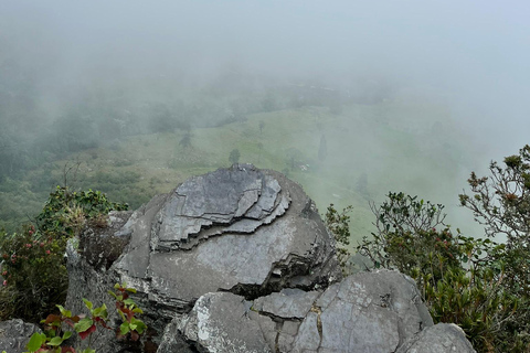 Bogota: Chicaque Nebelwald Tagesausflug mit Mittagessen
