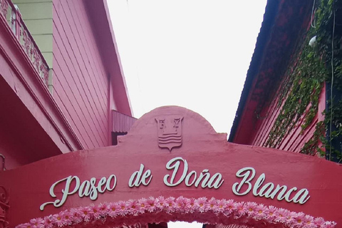 Puerto Plata: Monkey home, Damajagua Waterfalls & City Tour