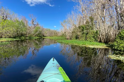 Orange City: Blue Spring State Park Guided Kayak Tour