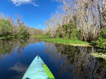 Orange City: Blue Spring State Park Guided Kayak Tour