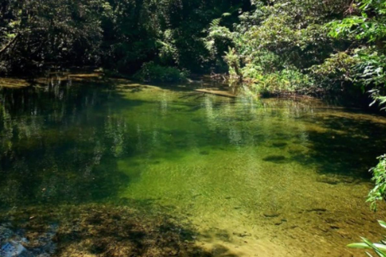 Santos: Geführte Kajaktour im Herzen des State ParksSao Paulo: Geführtes Kajak im Herzen des Staatsparks
