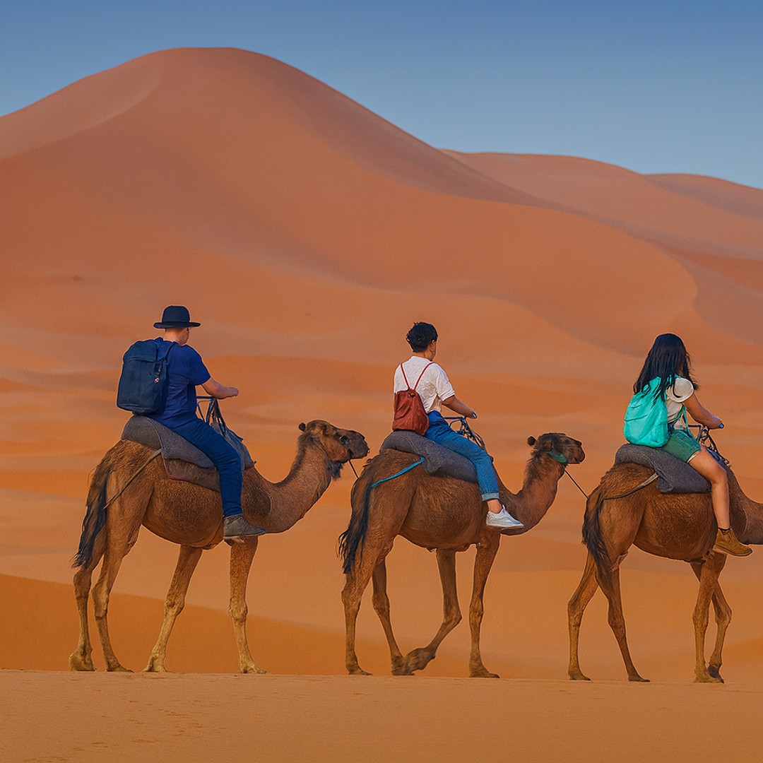 Depuis Merzouga : randonnée en chameau au coucher du soleil et aventure en sandboard.