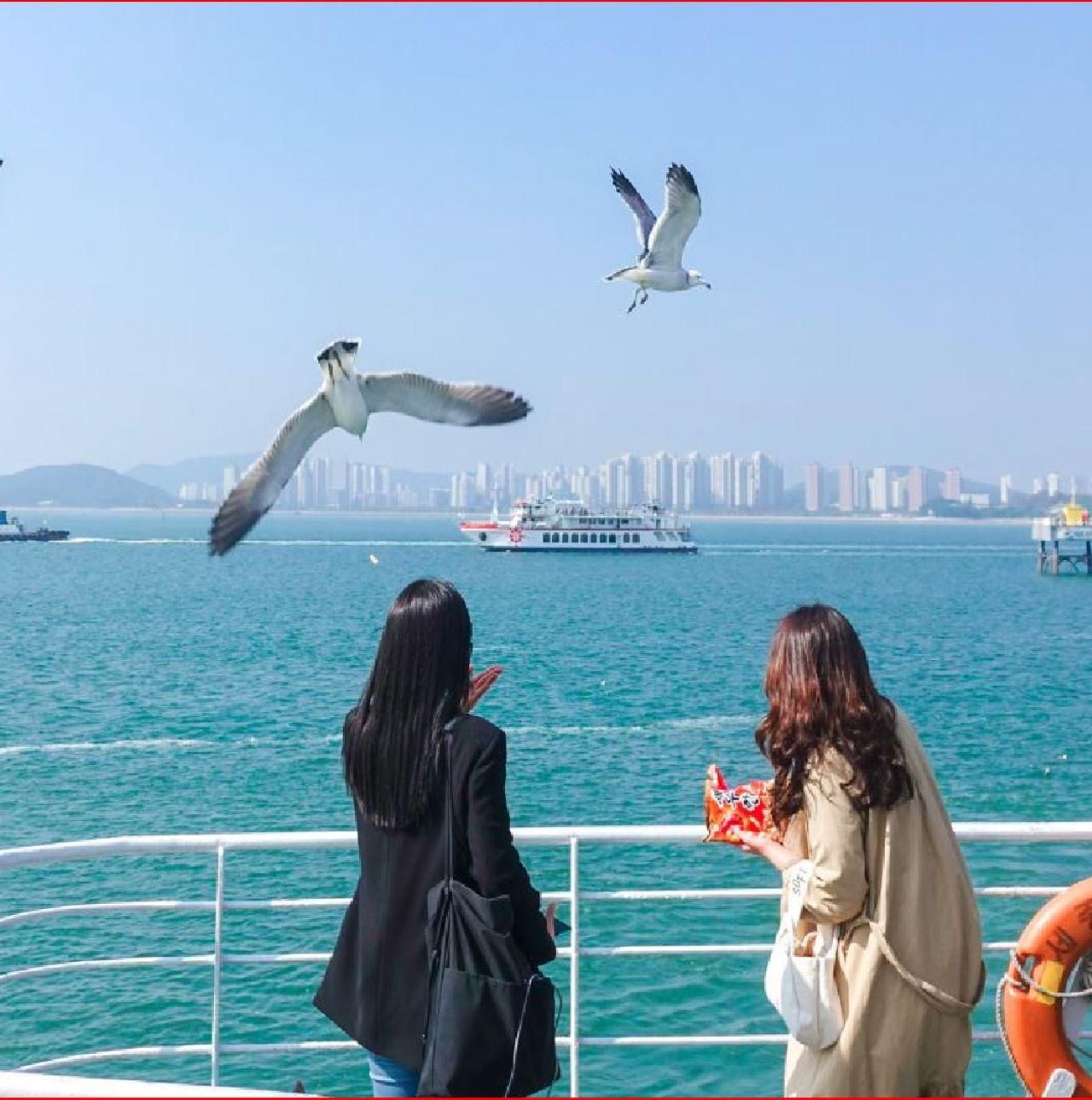 Seoul: Coastal Rail Bike, Sorae Park und Fairytale Village