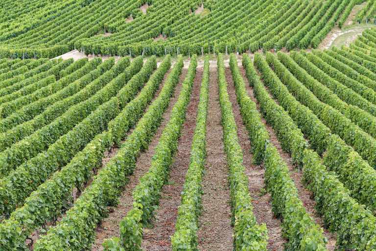 De Paris: Vale do Loire: Castelo de Chambord e degustação de vinhos