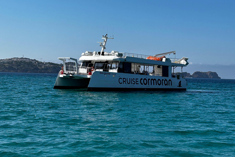 Mallorca: Passeio de catamarã de 2 horas pelo litoral e pelas Ilhas MalgratDe Playa Tora - à Tarde