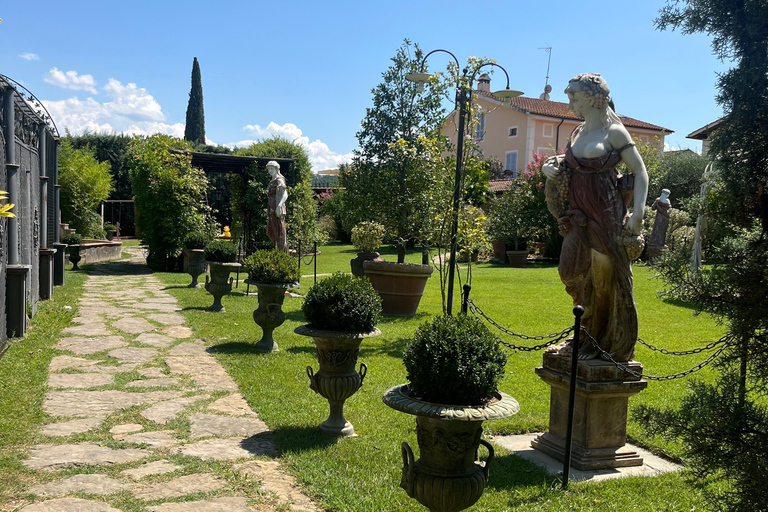 Florence: Pisa, Siena, & San Gimignano Day Trip with Lunch VIP SMALL GROUP