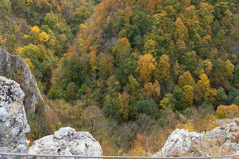 Brașov: Guided Gorge Hike, Caves, and Via Ferrata Adventure Brașov: Guided Hike and Caves