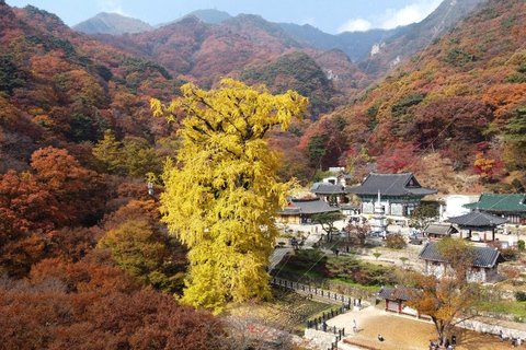 Seoul:Yangpyeong Day Trip with Dumulmeori & Yongmunsa Temple