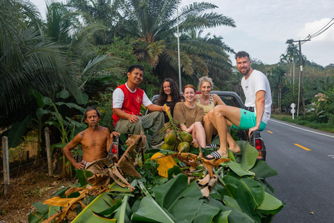 From Phuket: Ethical Elephant Sanctuary Tour in Phang Nga