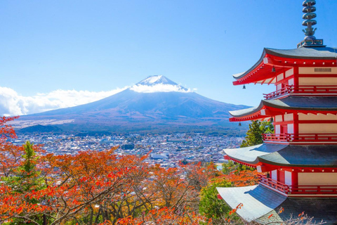 Tokyo: Full-day tour of the four Majestic spots of Mt Fuji