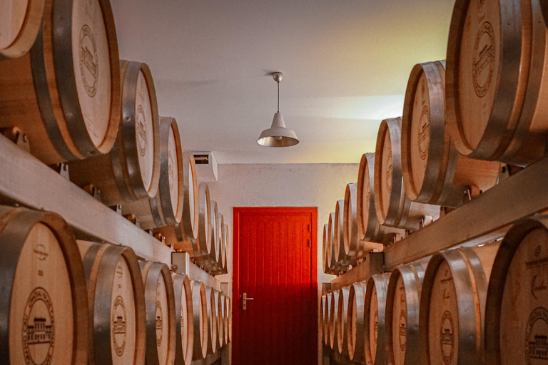 Picnic at the Château Palais Cardinal