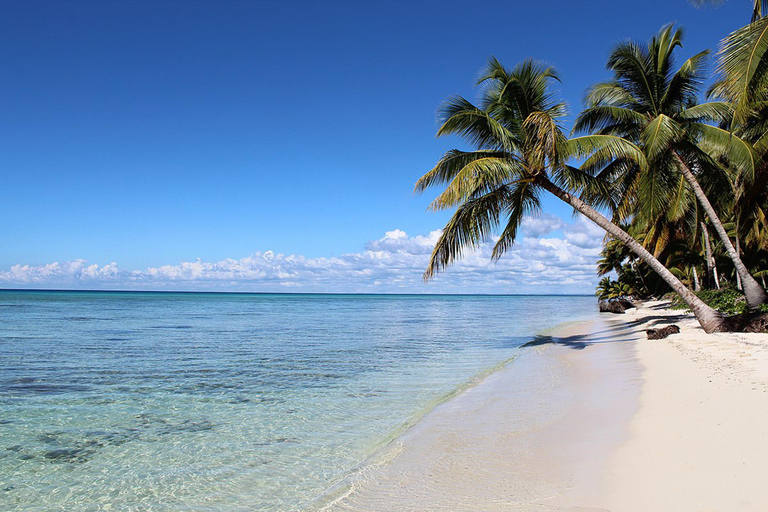 Excursion à Rumbadera sur l'île de Saona