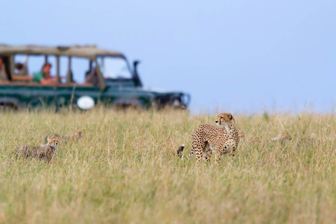 From Nairobi: 5-Day Maasai Mara Safari with Night Drives